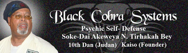 Soke-Dai Akeweye N Tirhakah Bey